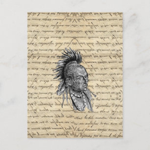 Postal Indio americano