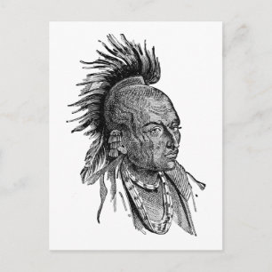 Postal Indio americano