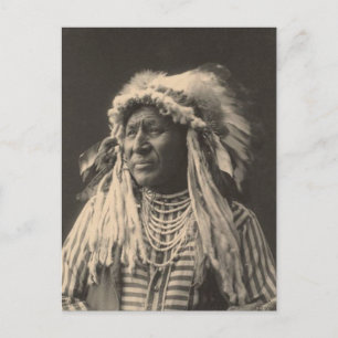 Postal Indio vintage: Cisne blanco, Crow -