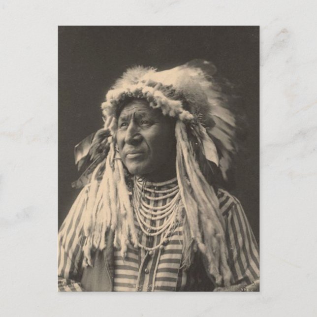 Postal Indio vintage: Cisne blanco, Crow - (Anverso)
