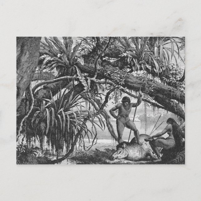 Postal Indios caripuna con tapir (Anverso)