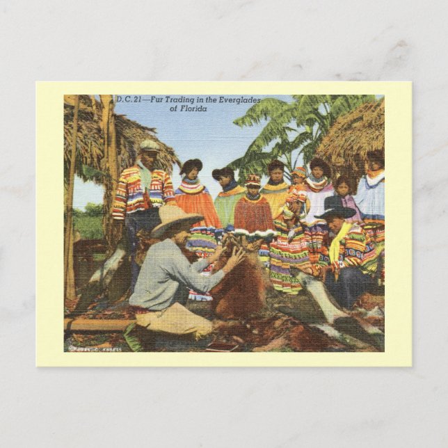 Postal Indios seminolinos, comercio de pieles, cosecha de (Anverso)