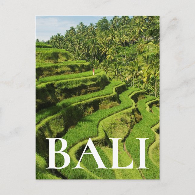 Postal Indonesia, Bali| Plantones de arroz (Anverso)