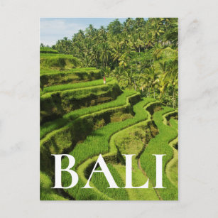 Postal Indonesia, Bali  Plantones de arroz