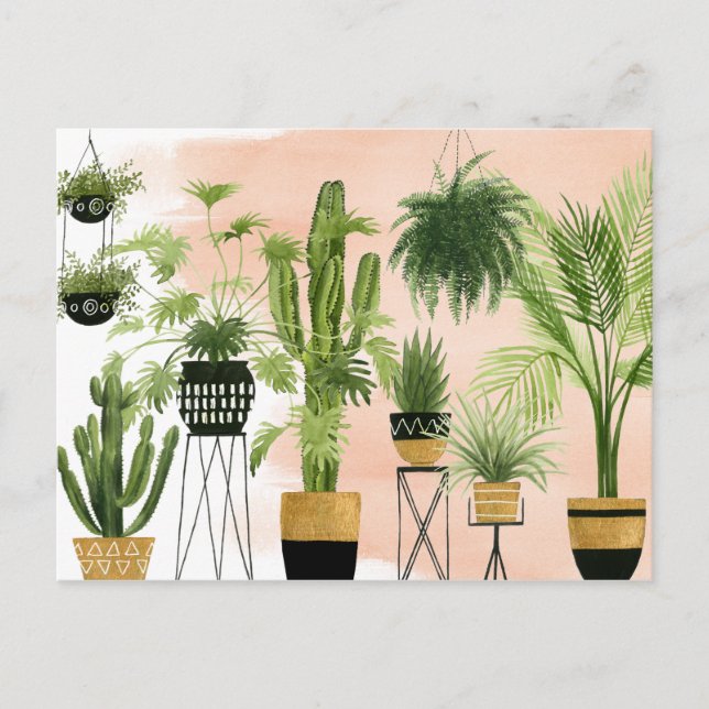 Postal Indoor Oasis | Plant Lineup (Anverso)