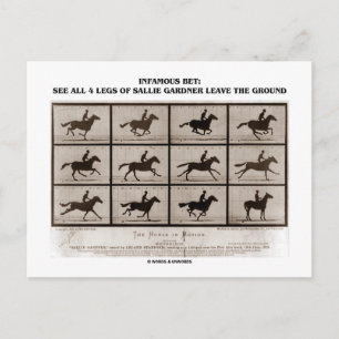 Postal Infame apuesta 4 piernas Sallie Gardner deja el te