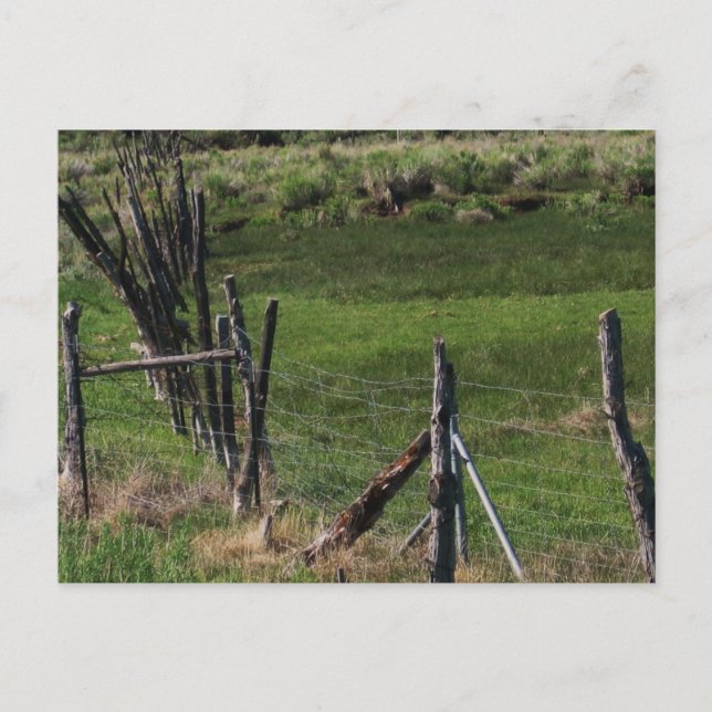 Postal Infancia I (Anverso)