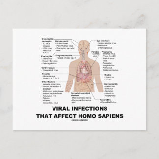 Postal Infecciones Virales Que Afectan Al Homo Sapiens