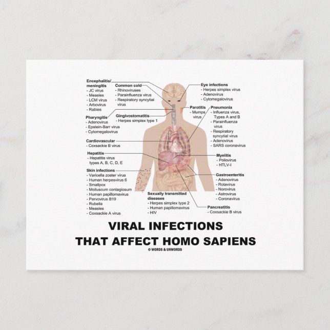 Postal Infecciones Virales Que Afectan Al Homo Sapiens (Anverso)