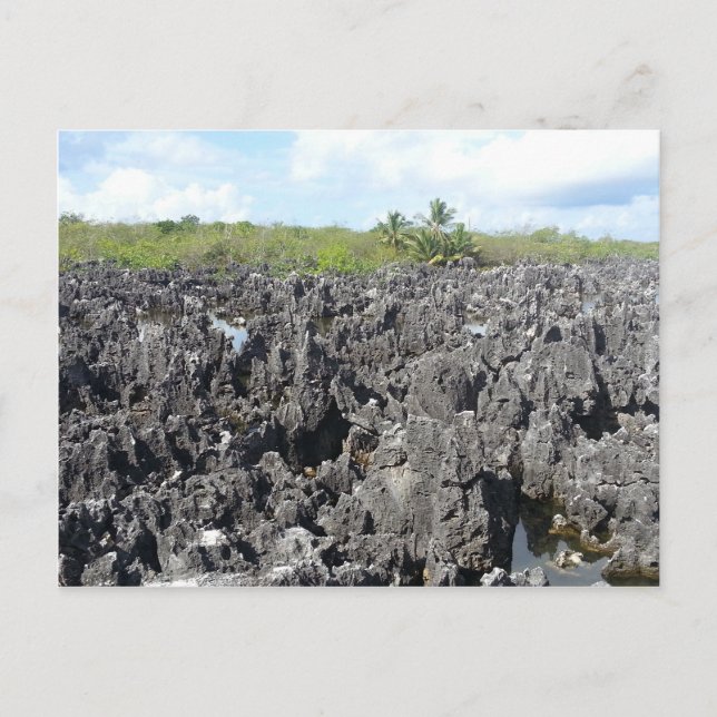 Postal Infierno en las Islas Gran Caimán (Anverso)