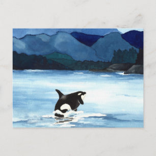 Postal Infracción de la orca