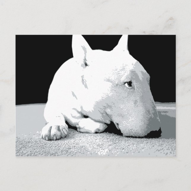 Postal Inglés Bull Terrier, Pop Art Print (Anverso)
