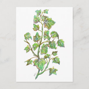 Postal Inglés Ivy