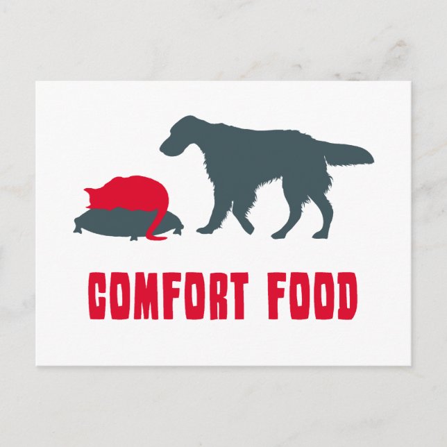 Postal Inglés Setter (Anverso)