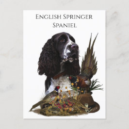 Postal Inglés Springer Spaniel con faisán