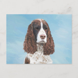 Postal Inglés Springer Spaniel Pintura Original Perro Art