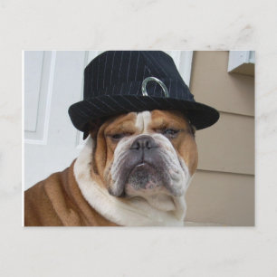 Postal inglesa de la postal del bulldog
