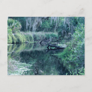 Postal Iniciar sesión en el río