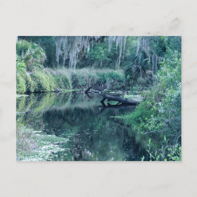 Postal Iniciar sesión en el río (Anverso)