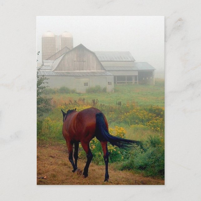 Postal Inicio de encabezado (Anverso)