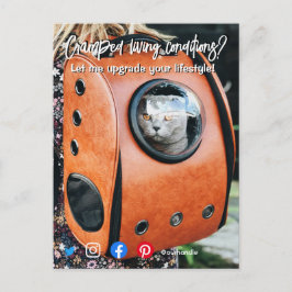 postal inmobiliaria divertida gatita viviente