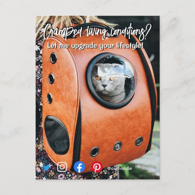 postal inmobiliaria divertida gatita viviente (Anverso)