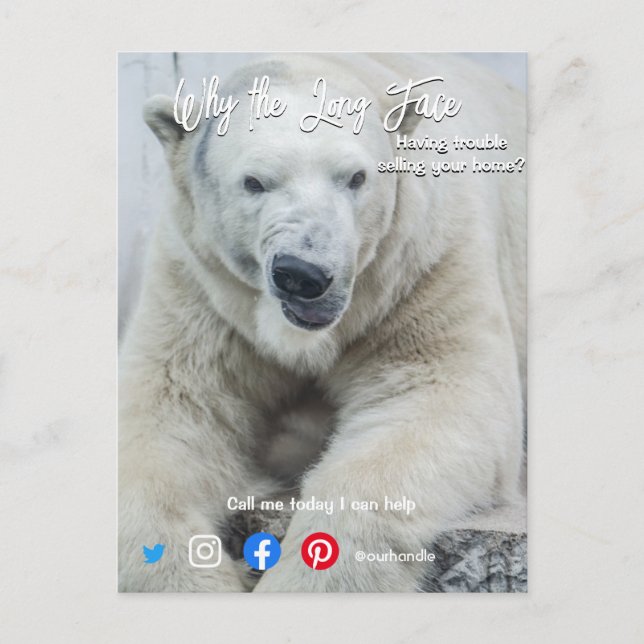 postal inmobiliaria larga cara de oso blanco (Anverso)