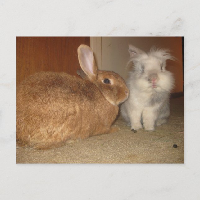 Postal inmoralidad (Anverso)