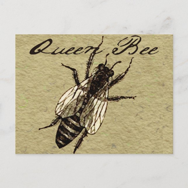 Postal Inscripción de Bug de Vida Silvestre Queen Bee (Anverso)
