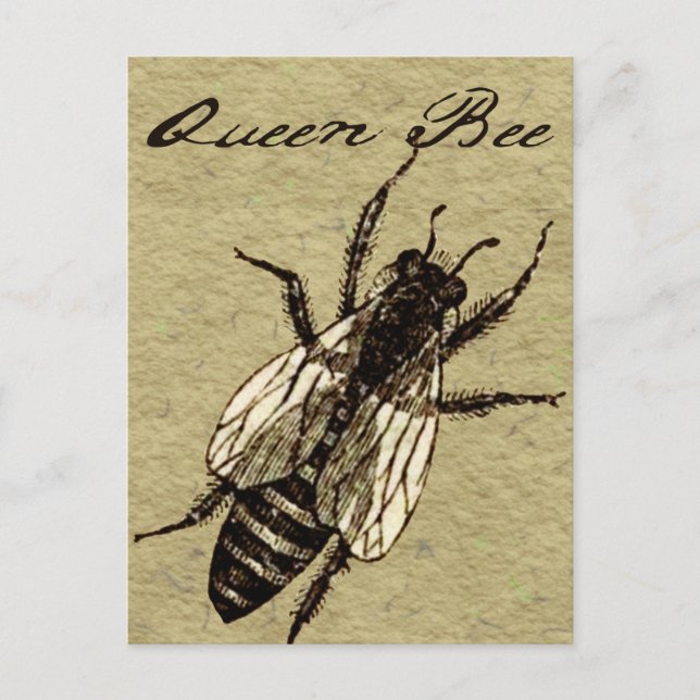 Postal Inscripción de Bug Volador de Vida Silvestre Queen (Anverso)