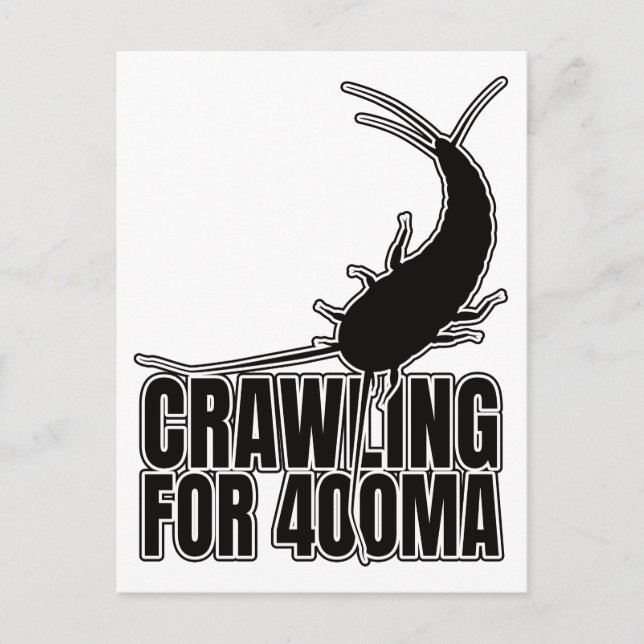 Postal Insectos primitivos silverfish - Geek de la Entomo (Anverso)