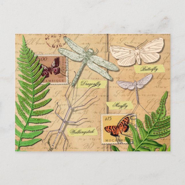 Postal Insectos y el helecho de polipodia común (Anverso)