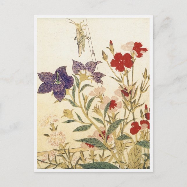 Postal Insectos y flores de Utamaro (Anverso)