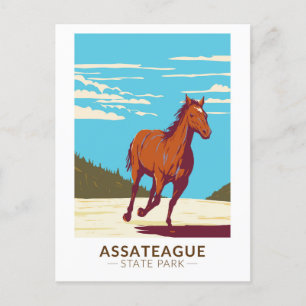 Postal Insignia de Maryland del Parque Estatal Assateague