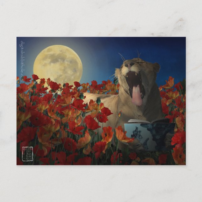 Postal Insomnio (Anverso)