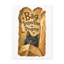 Inspección de Bolsa en Curso Gatito Adorable