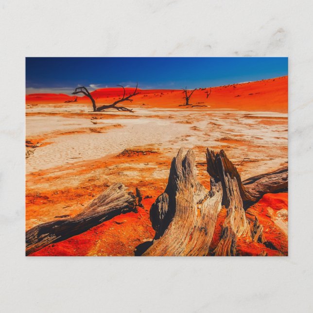Postal Inspiraciones naturales Namibia, África (Anverso)