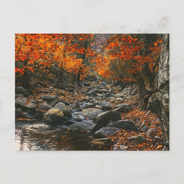 Postal Inspiraciones naturales Rumania, bosque otoñal (Anverso)