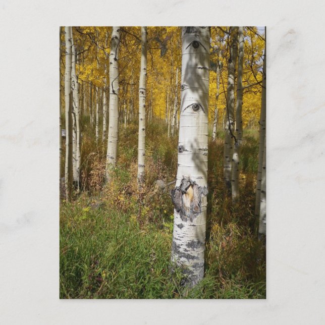 Postal inspiradora (Anverso)