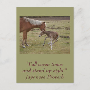 Postal inspiradora: Alentamiento