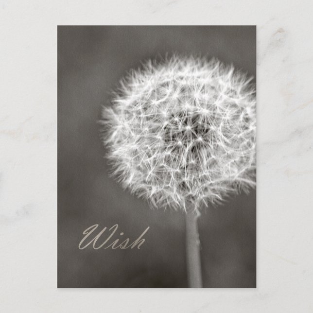 Postal Inspired Wish Dandelion (Anverso)