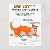 Instrucciones de Bad Kitty Petting