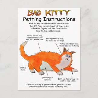 Postal Instrucciones de Bad Kitty Petting