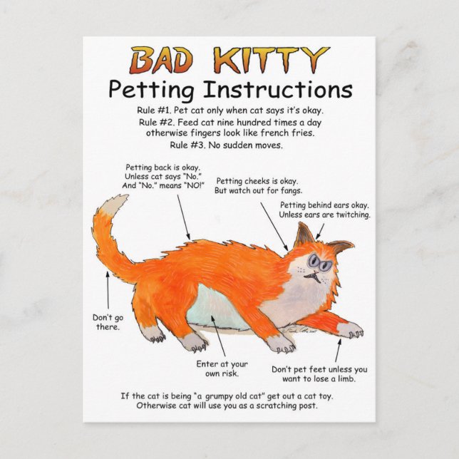 Postal Instrucciones de Bad Kitty Petting (Anverso)
