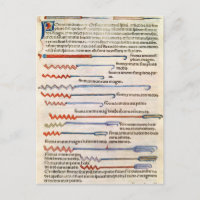 Instrumentos quirúrgicos de un tratado