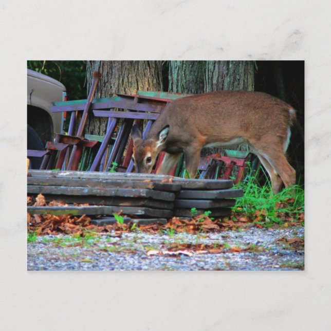 Postal Integración urbana (Anverso)