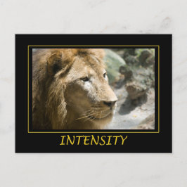 Postal Intensidad