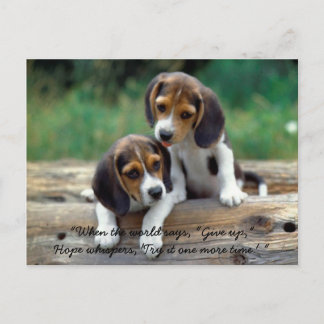 Postal Inténtelo una más vez…