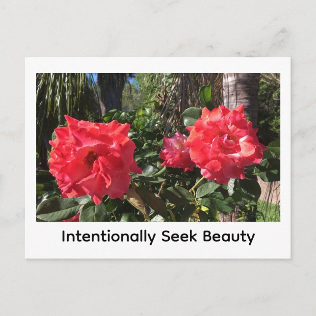 Postal Intentionally Seek Beauty (Anverso)