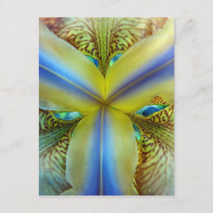 Postal Interior de Iris